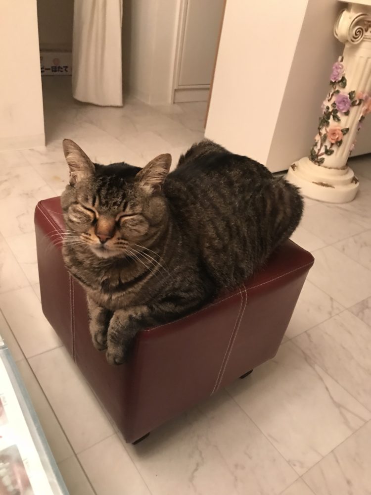 便秘の人には腹筋とオクラ～尾道エステブログ～アンジュ