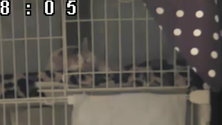 今年も残すとこあと4ヶ月～尾道エステブログ～アンジュ