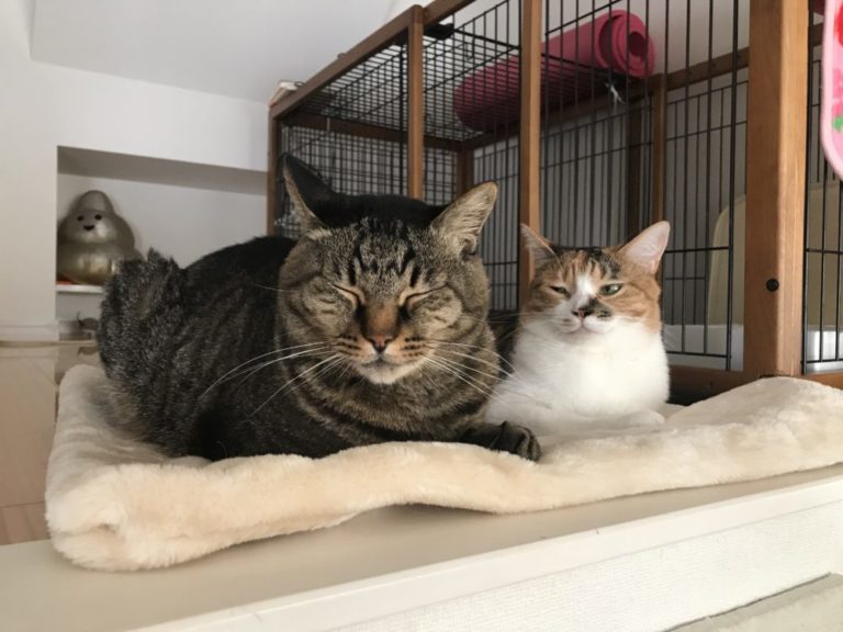 アンジュのリフォーム～尾道エステブログ～アンジュ