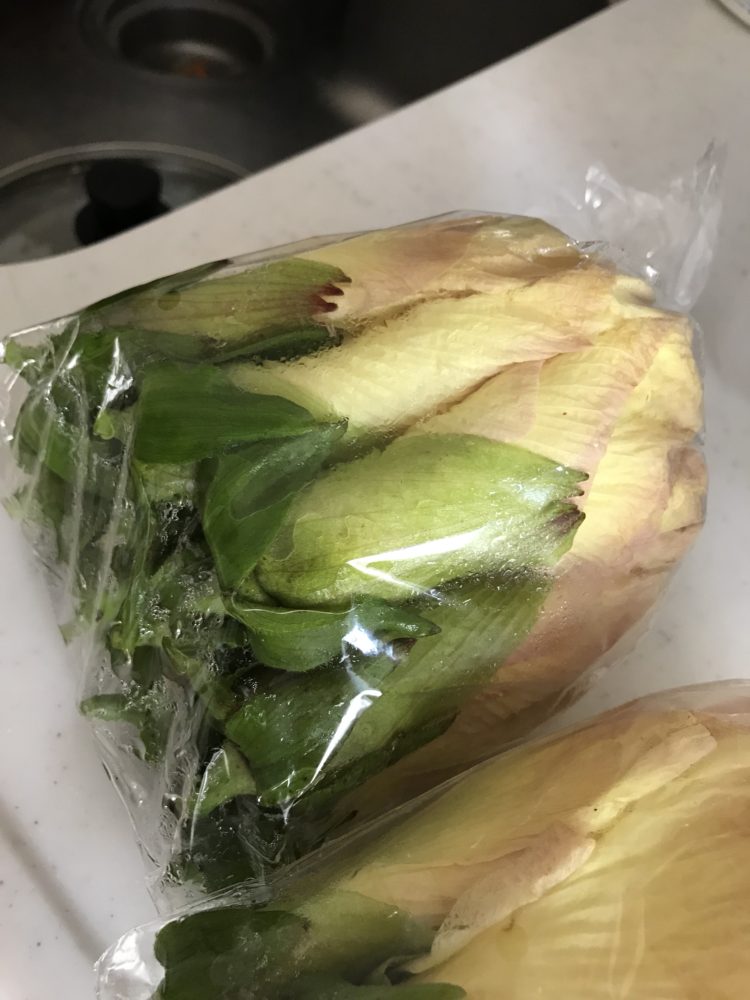 花オクラ買ってみまして～尾道エステブログ～アンジュ