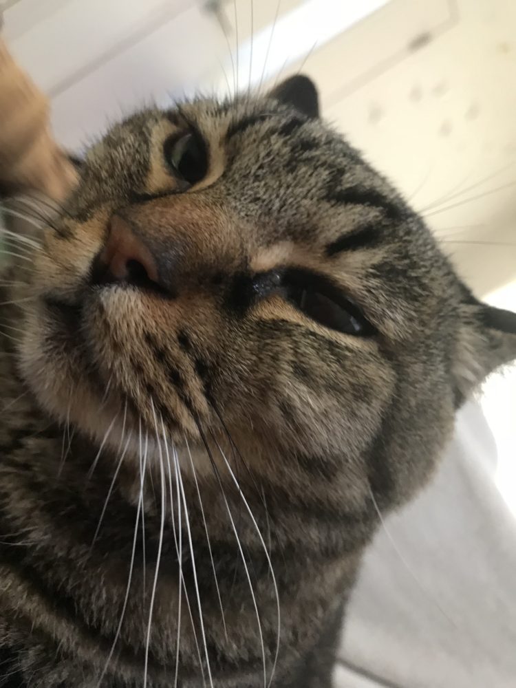 最高齢のお客様～尾道エステブログ～アンジュ