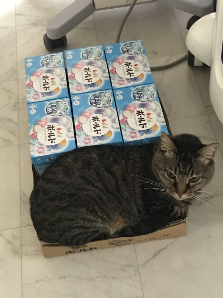 夢とか目標のお話について～尾道エステブログ～アンジュ