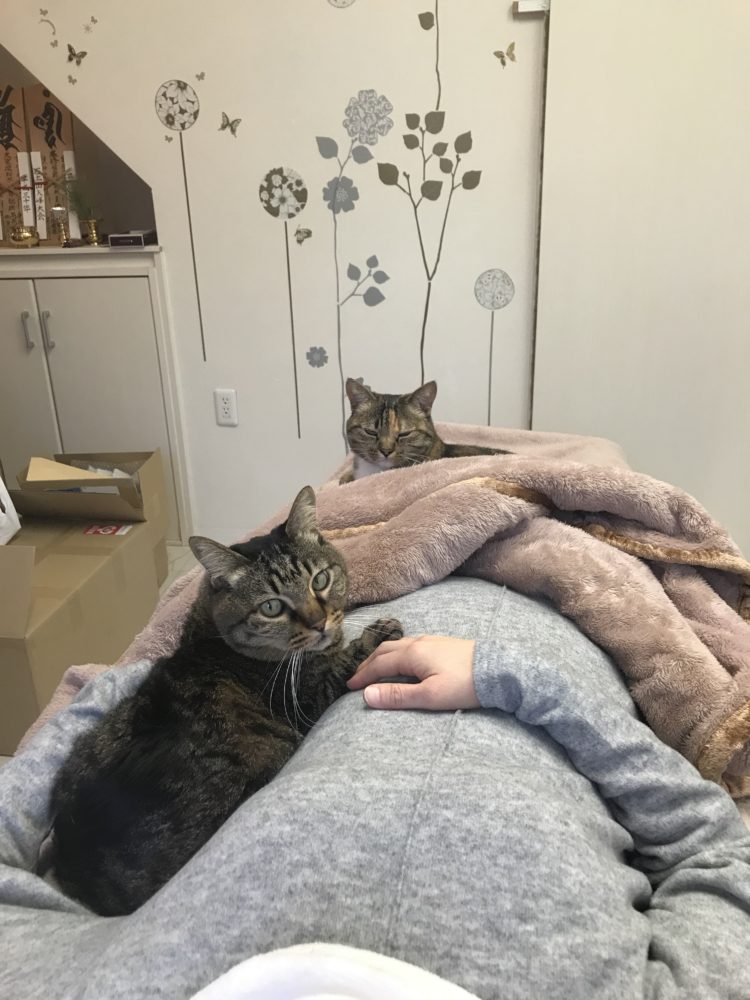 ワーキングcat～尾道エステブログ～アンジュ