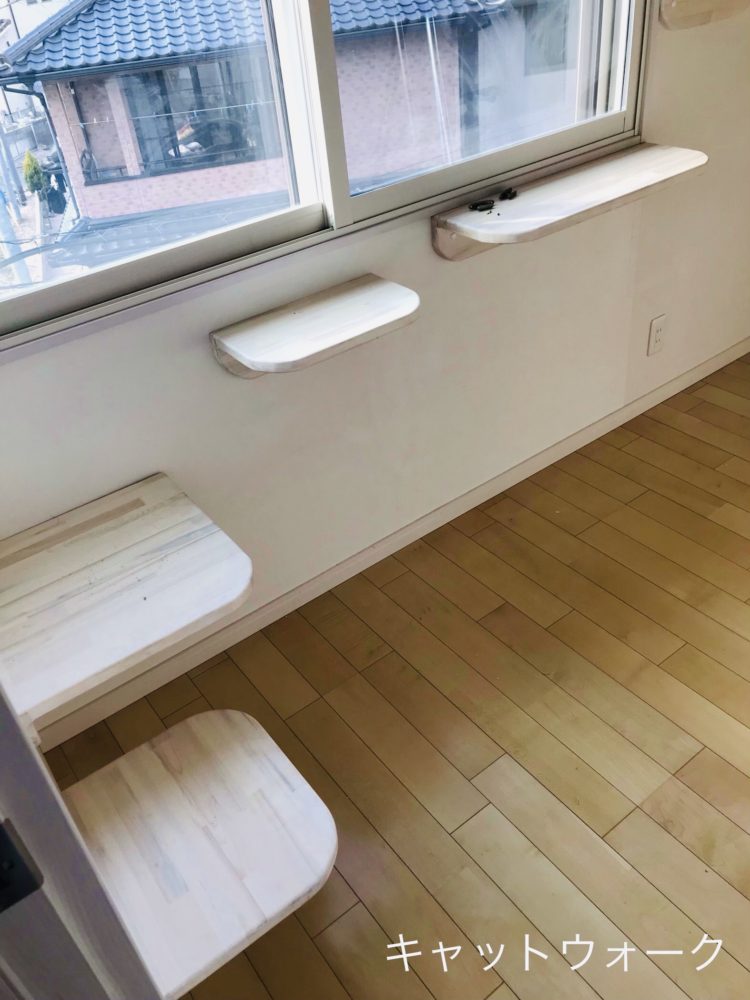 難治性てんかん 猫のサンちゃんへ～尾道エステブログ～アンジュ