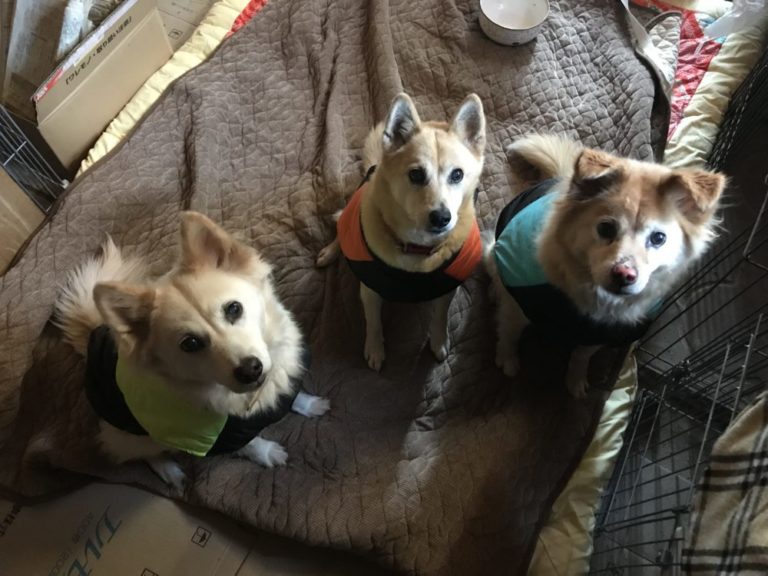 明けましておめでとうございます～尾道エステブログ～アンジュ