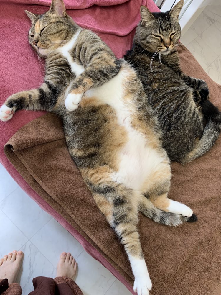 またまたありがとうございます♬︎♡～尾道エステ ヘアー 美容ブログ～アンジュ